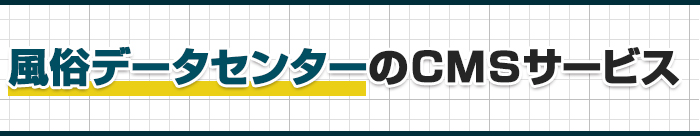 風俗データセンターのCMSサービス