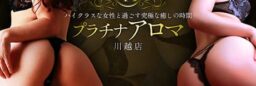 風俗HPリニューアル制作/ドメイン代行管理/女性用・男性用求人ページ設置/検索機能（No-31633）