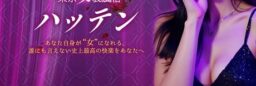 女装風俗オフィシャルHP制作/3種類キャストページ/キャスト検索機能/英語メニュー機能（No-33055）