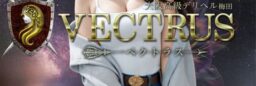 ヘルス店舗公式HP制作/長期契約/男性向け高級店/ピクトグラム/ランキングページ（No-33205）