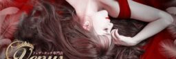 （No-33267）女性用風俗WEBサイト制作/フェザー・羽/性感マッサージ/業界初フェザータッチ
