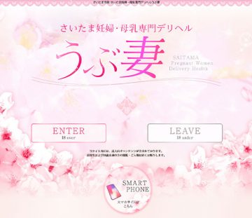 28399_capturePc-001